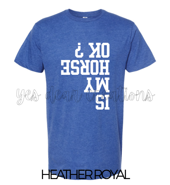 IS MY HORSE OK T SHIRT